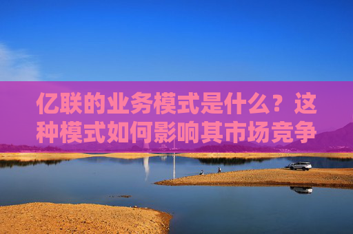 亿联的业务模式是什么？这种模式如何影响其市场竞争力？