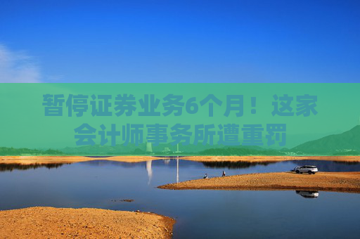 暂停证券业务6个月！这家会计师事务所遭重罚