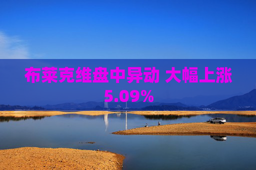 布莱克维盘中异动 大幅上涨5.09%