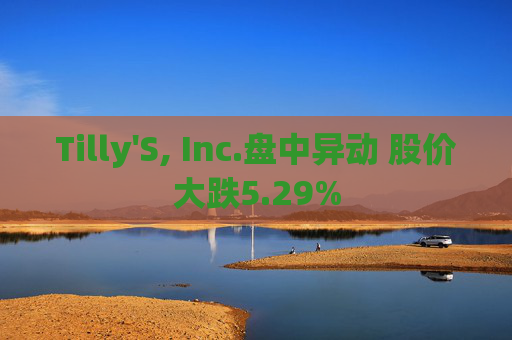 Tilly'S, Inc.盘中异动 股价大跌5.29%
