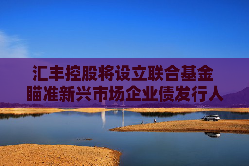 汇丰控股将设立联合基金 瞄准新兴市场企业债发行人