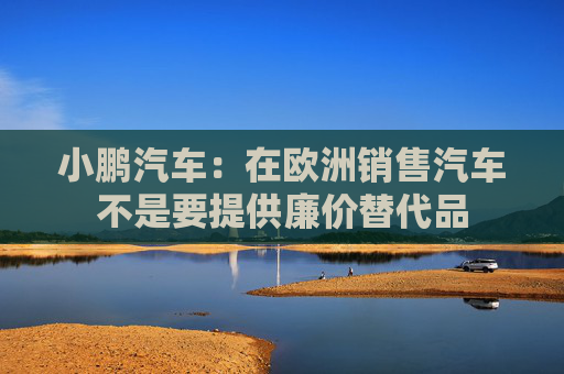 小鹏汽车：在欧洲销售汽车不是要提供廉价替代品
