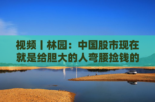 视频丨林园：中国股市现在就是给胆大的人弯腰捡钱的时候