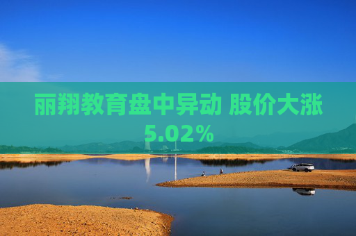 丽翔教育盘中异动 股价大涨5.02%