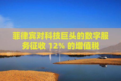 菲律宾对科技巨头的数字服务征收 12% 的增值税