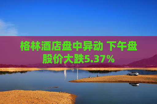 格林酒店盘中异动 下午盘股价大跌5.37%