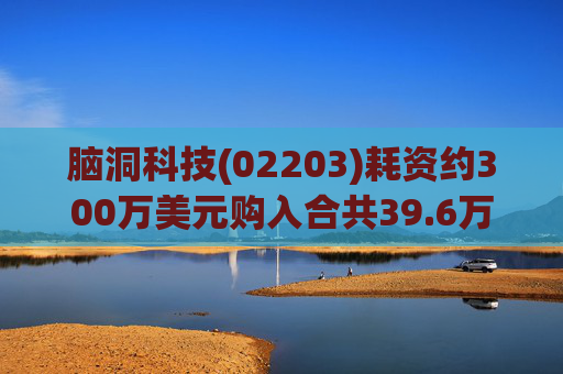 脑洞科技(02203)耗资约300万美元购入合共39.6万股Up Fintech股份