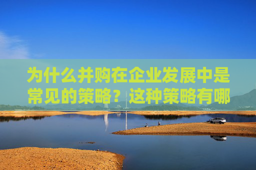 为什么并购在企业发展中是常见的策略？这种策略有哪些潜在风险？