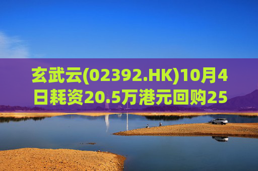 玄武云(02392.HK)10月4日耗资20.5万港元回购25.6万股