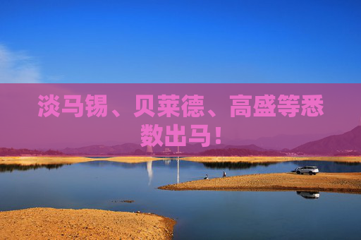 淡马锡、贝莱德、高盛等悉数出马！