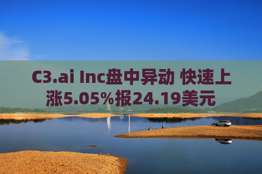 C3.ai Inc盘中异动 快速上涨5.05%报24.19美元