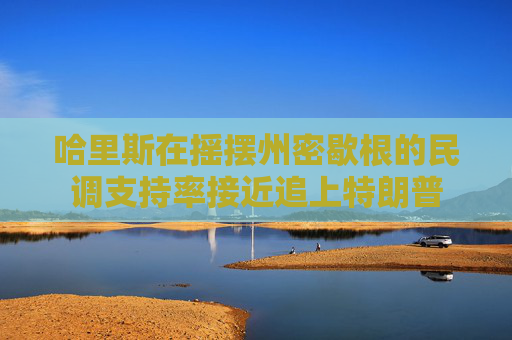 哈里斯在摇摆州密歇根的民调支持率接近追上特朗普