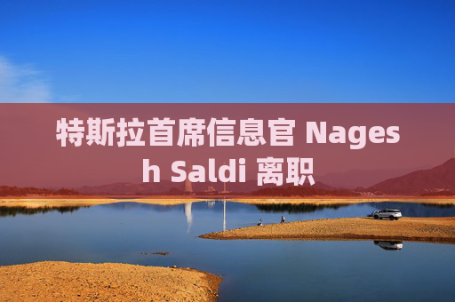 特斯拉首席信息官 Nagesh Saldi 离职