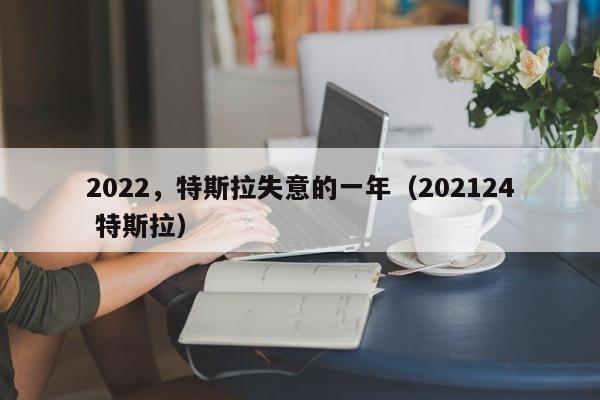 2022，特斯拉失意的一年（202124 特斯拉）